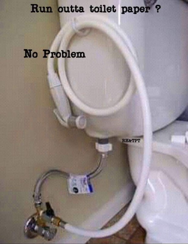 toilet water corona virus fix.jpg