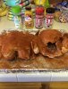 precook chicken 1.jpg