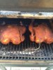 chicken 2hr 1.jpg