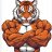 GEAUX4TIGERS