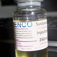 FIRST CYCLE SUSTANON