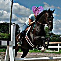 PicsArt 1396314995399