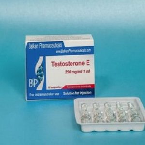 Testosterone-E-Testosterone-Enanthate-Balkan-Pharmaceuticals.jpg