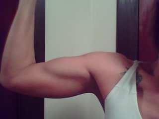 march 2010 bicep